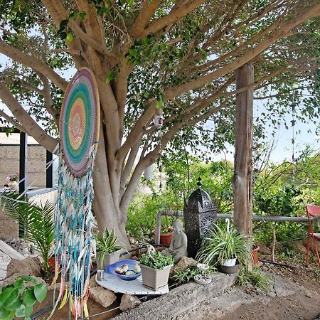 Casa Munay Granadilla De Abona Dış mekan fotoğraf